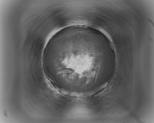 X0000103221104200809040957