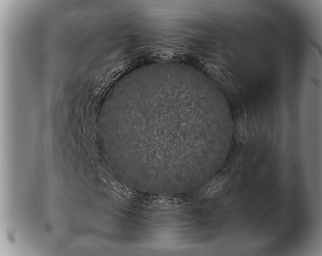 X0000103221105200809040956