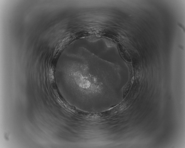 X0000103221106200809040956