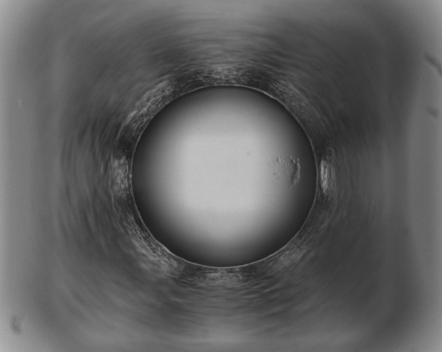 X0000103221107200809040956