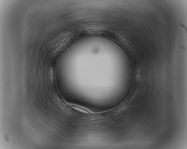 X0000103221108200809040956