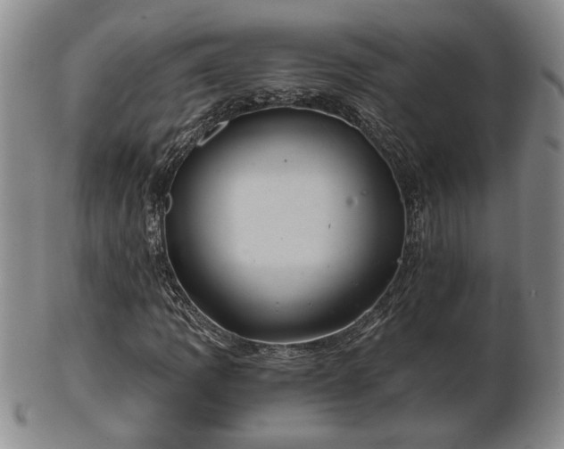 X0000103221109200809040956