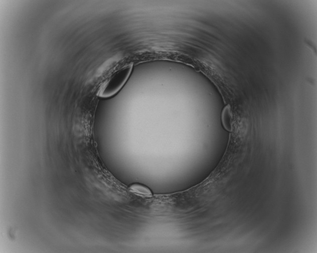 X0000103221110200809040956