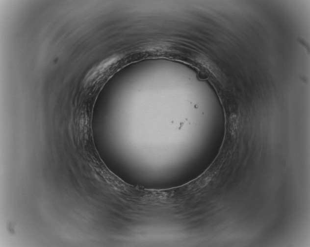 X0000103221111200809040956