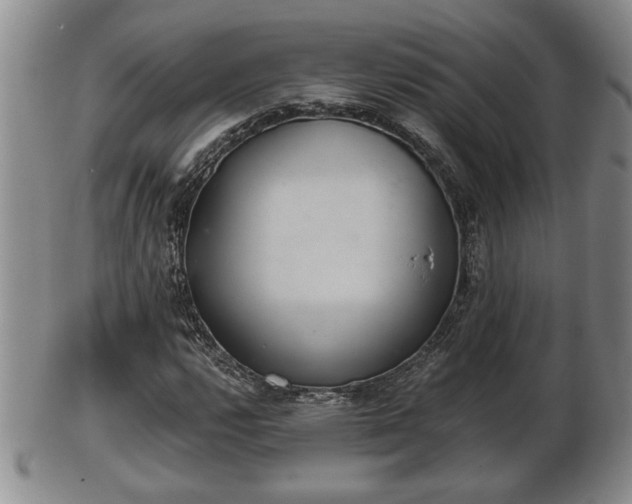 X0000103221112200809040956