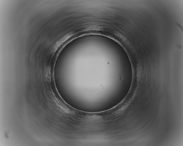 X0000103221113200809040956