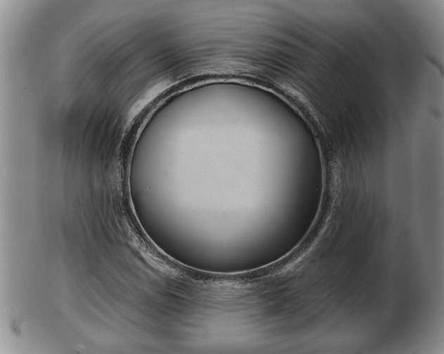 X0000103221114200809040957