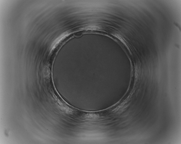 X0000103221115200809040957