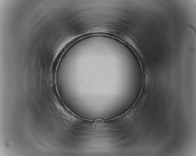 X0000103221116200809040957