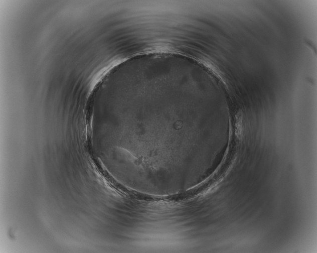 X0000103221117200809040957