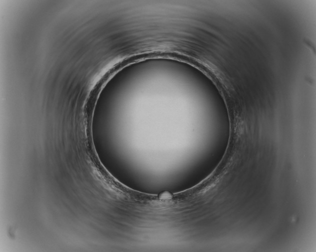 X0000103221118200809040957