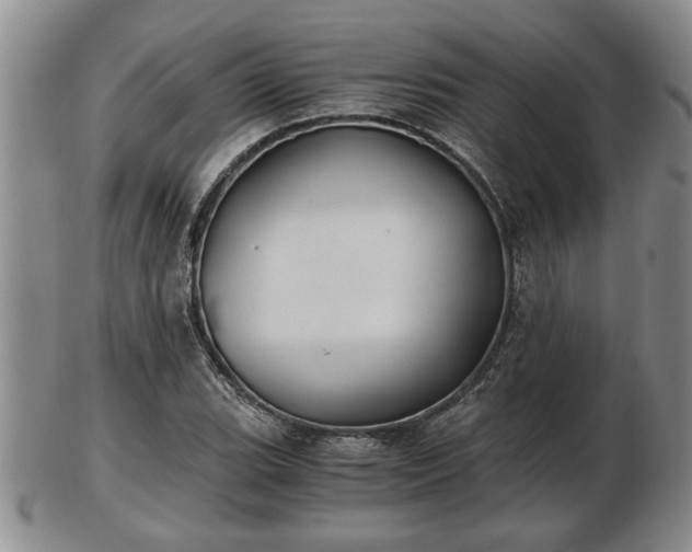 X0000103221119200809040957