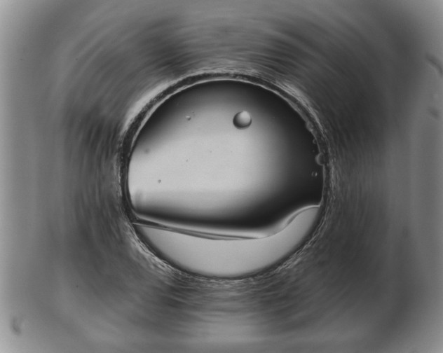 X0000103221120200809040957