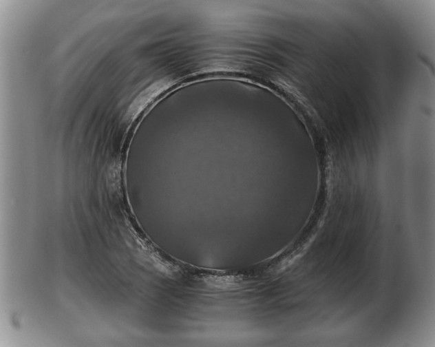 X0000103221121200809040957