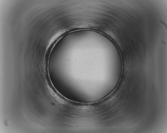 X0000103221122200809040957