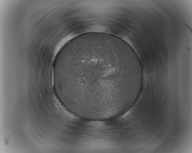 X0000103221123200809040957