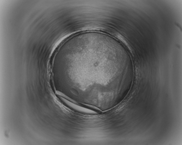 X0000103221124200809040957