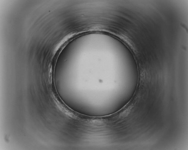 X0000103221126200809040957