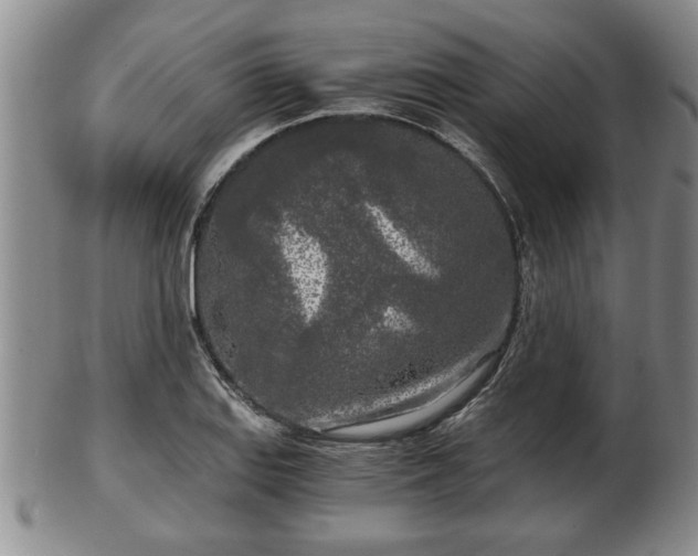 X0000103221127200809040957