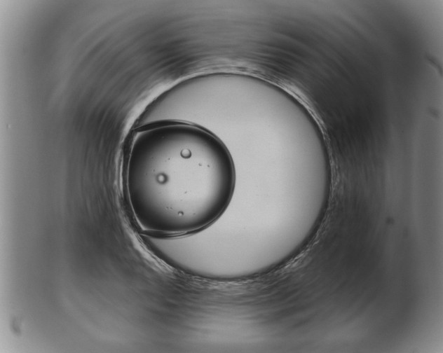 X0000103221128200809040957