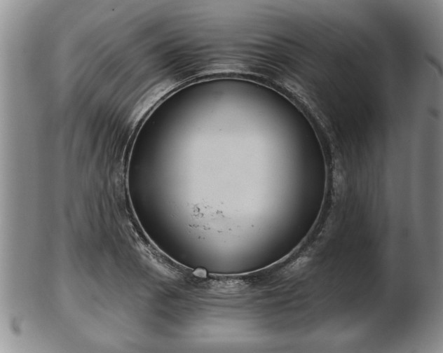 X0000103221129200809040957