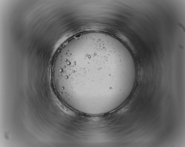 X0000103221130200809040957