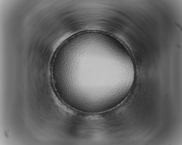 X0000103221133200809040957