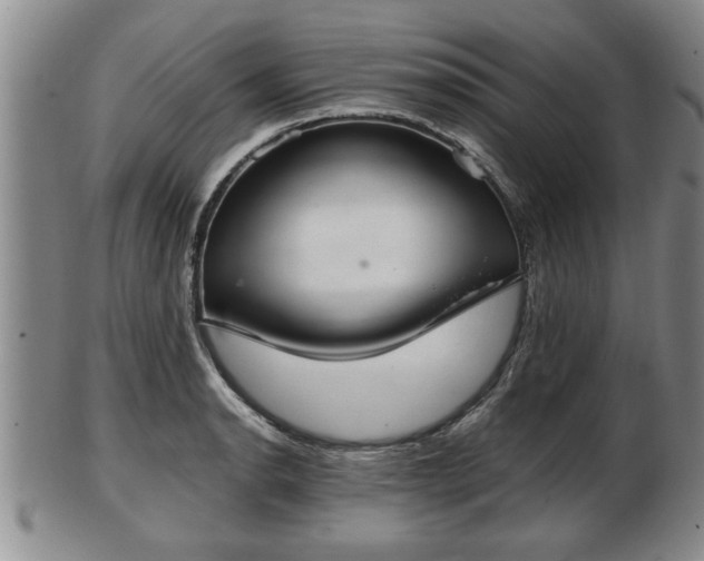 X0000103221134200809040957