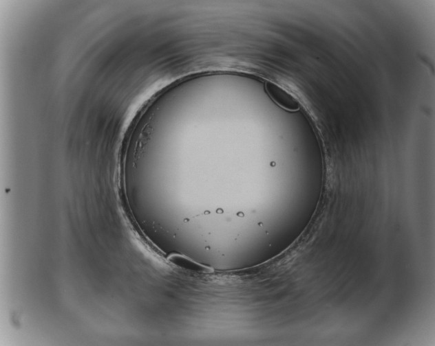 X0000103221136200809040957