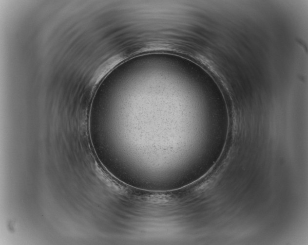 X0000103221137200809040957