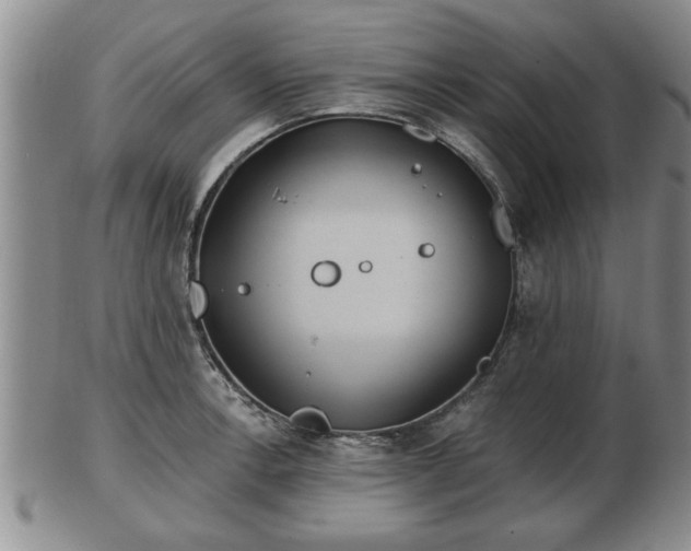 X0000103221138200809040957