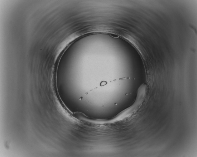 X0000103221139200809040957