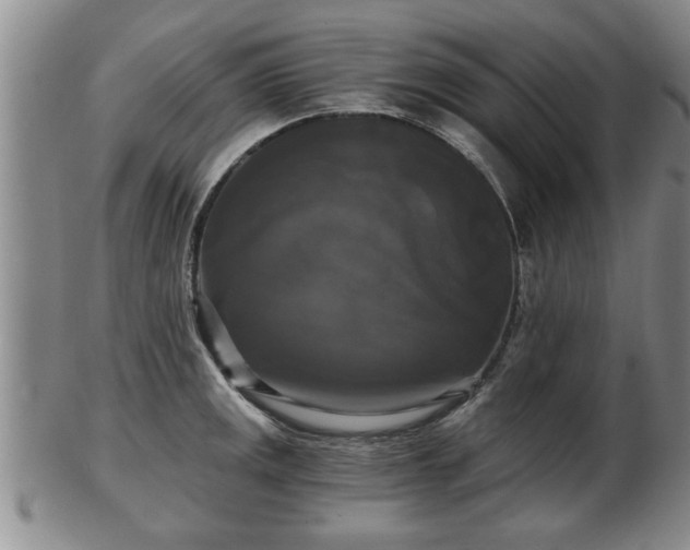 X0000103221141200809040957