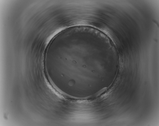 X0000103221142200809040957