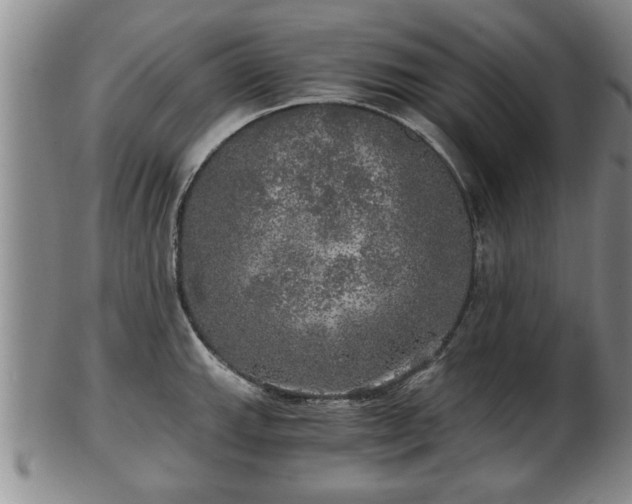 X0000103221143200809040957