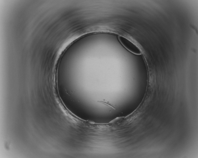 X0000103221144200809040957