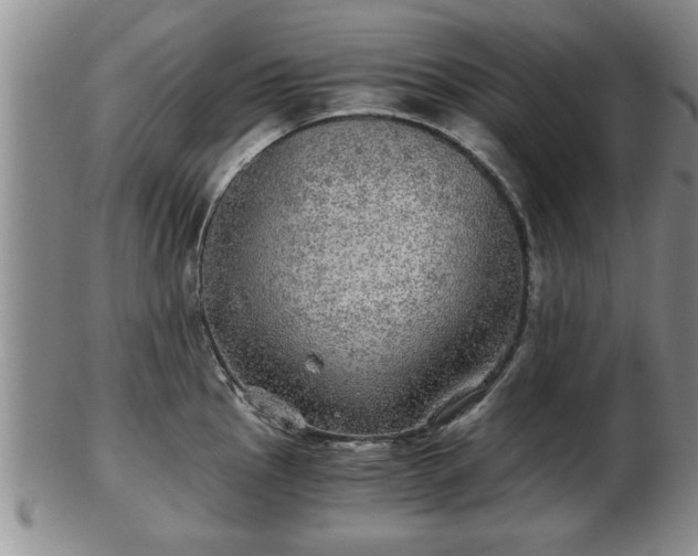 X0000103221145200809040957