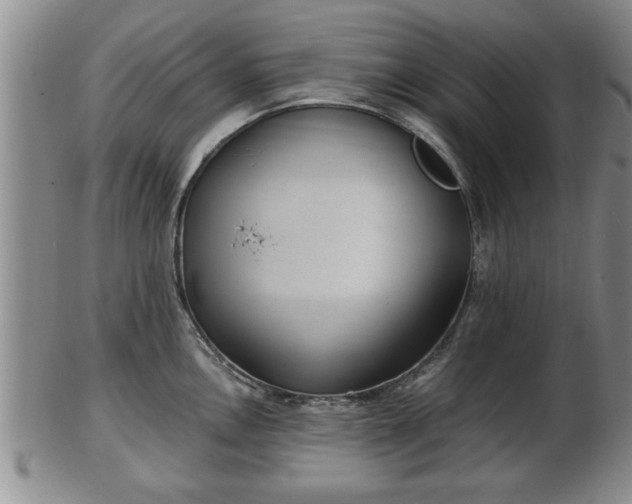 X0000103221146200809040957