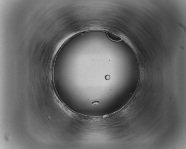 X0000103221148200809040957