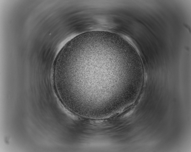 X0000103221149200809040957