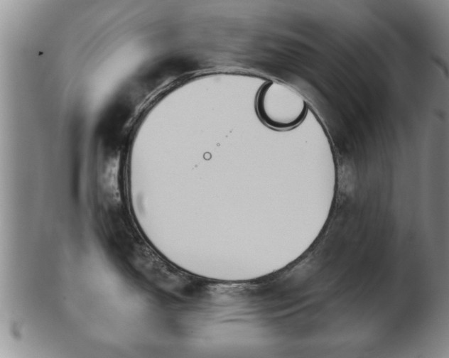 X0000103221150200809040957