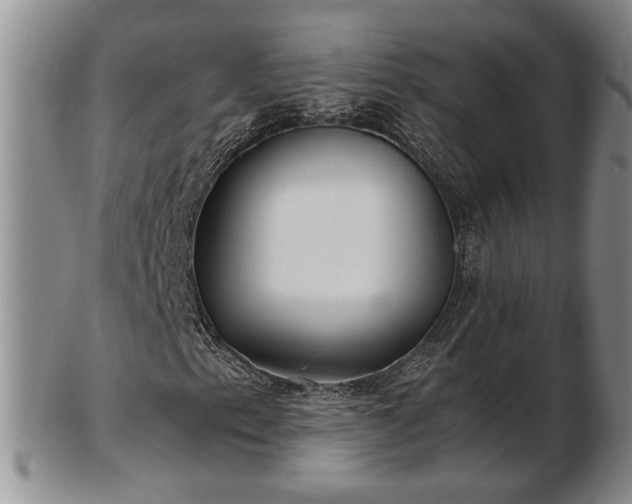 X0000103221153200809040956