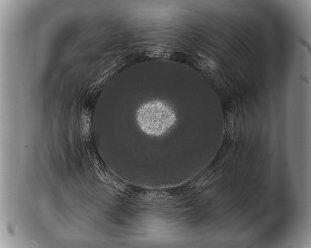 X0000103221154200809040956