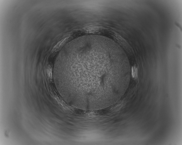 X0000103221155200809040956