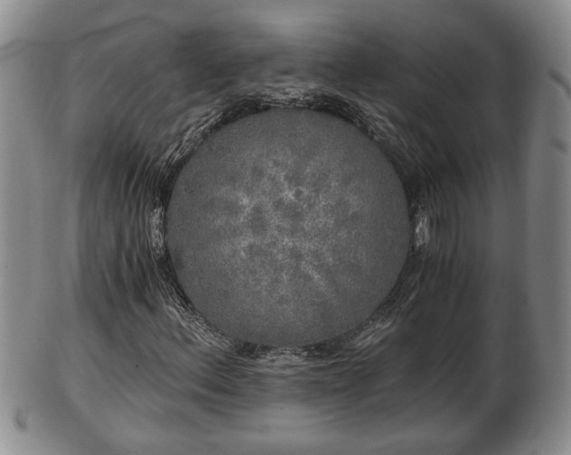 X0000103221156200809040956