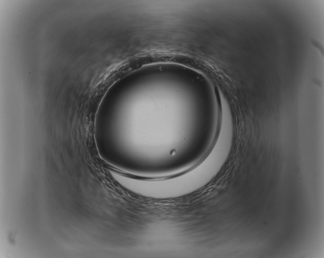 X0000103221157200809040956