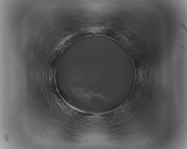 X0000103221158200809040956