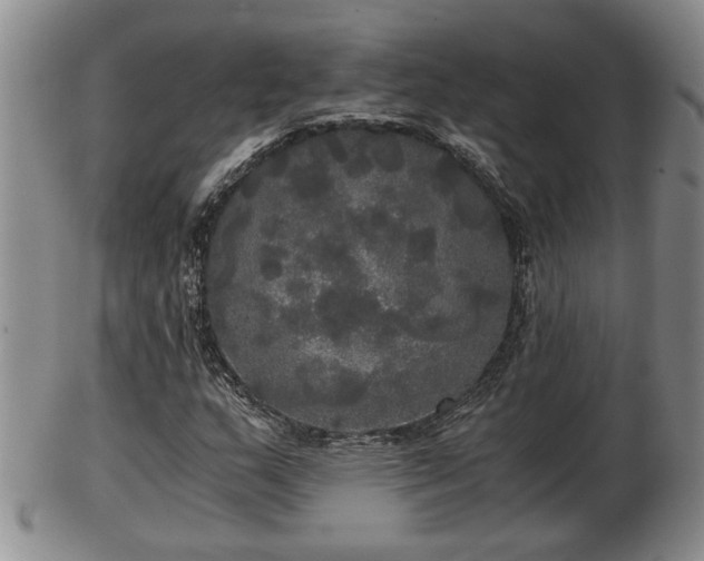 X0000103221159200809040956