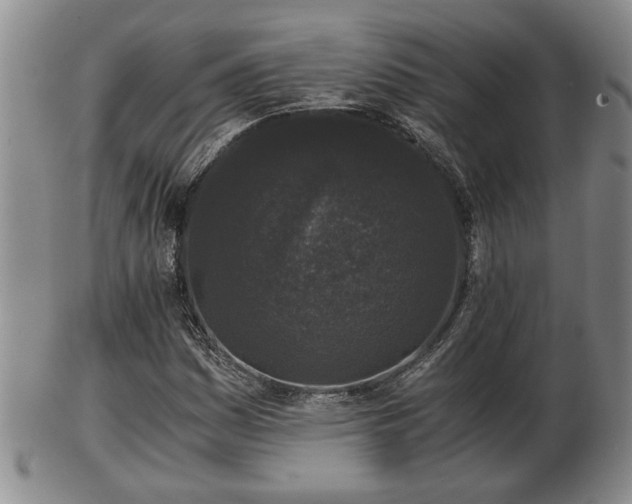 X0000103221161200809040956