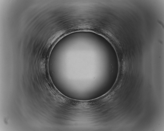 X0000103221162200809040956